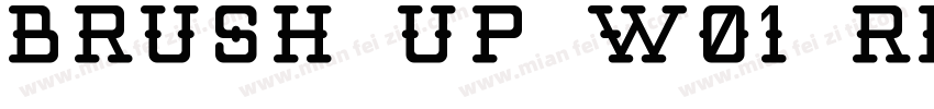 Brush Up W01 Regular字体转换